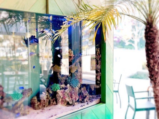 Hawaiian Cafe ＆ Resutaurant Merengue Makanaの料理・施設等のイメージ画像1