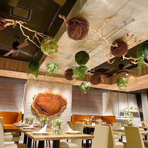 Casa Asteion【カーサ アスティオン】の料理・施設等のイメージ画像3