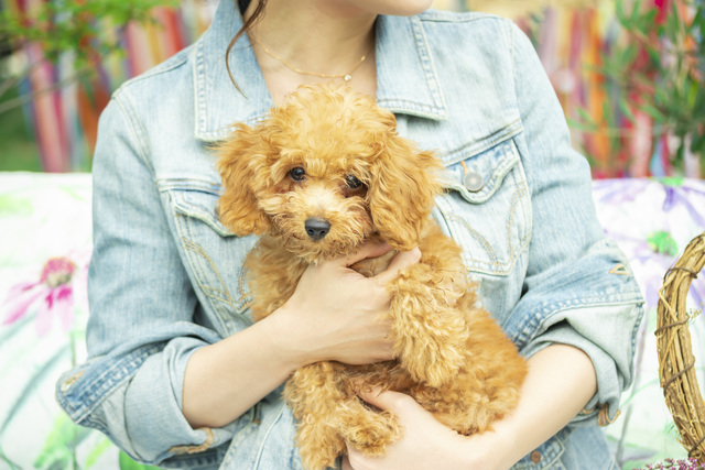 ナチュラルガーデンウェディング 青いナポリ IN THE PARKの会場内イメージ4枚目-ペットもOK！