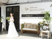 SHAVA LIVAの1.5次会に人気