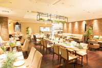 SHAVA LIVAの料金プランメイン画像