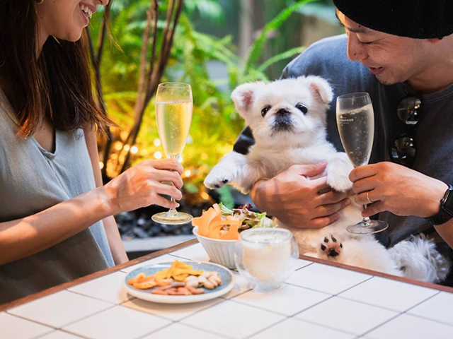 Restaurant ＆ Dining MID TREE 代官山の会場メイン画像