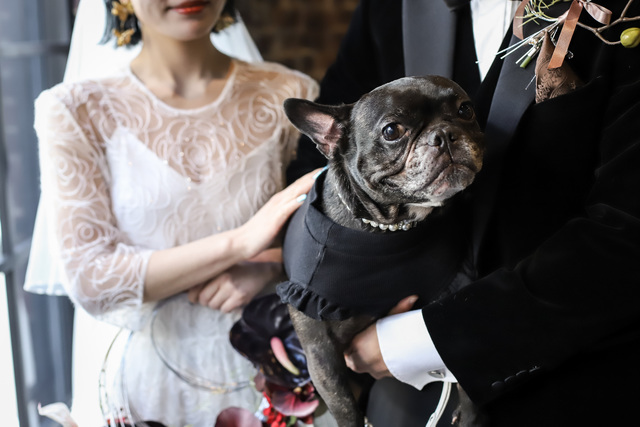 JAM ORCHESTRAの料理・施設等のイメージ画像9