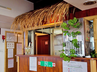 横浜・東京湾クルージング フロンティアの演出をお手伝い★-ハワイアンバーカウンター