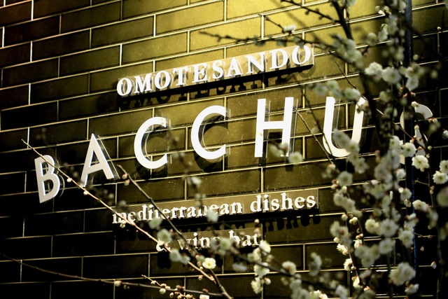 表参道バッカス ‐BACCHUS‐の会場内イメージ2枚目