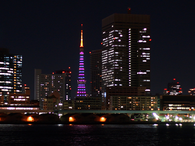 東京タワー様々な色にライトアップされる東京タワー。高層ビルの中でもひときわ目をひきます。