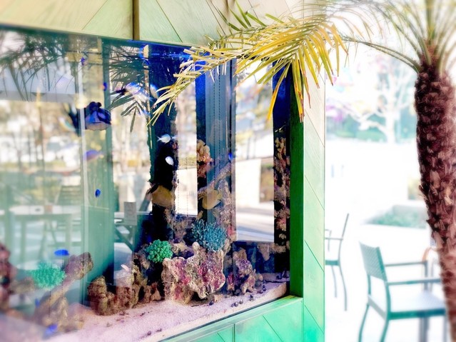 Hawaiian Cafe＆Restaurant Merengue みなとみらい店の料理・施設等のイメージ画像1