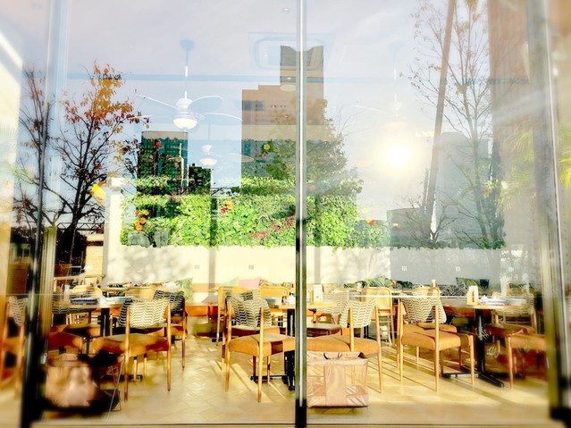 Hawaiian Cafe＆Restaurant Merengue みなとみらい店の料理・施設等のイメージ画像3