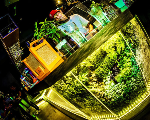LITTS BAR＆GRILL SHIBUYA 【バー リッツ 渋谷】の会場内イメージ8枚目
