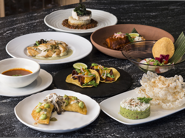 目黒ボスケ【BOSQUE】の料理・施設等のイメージ画像1