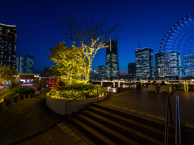 絶景屋上BBQビアガーデン BACK YARD 横浜ワールドポーターズ店の会場内イメージ2枚目
