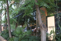 Dining＆Bar LAVAROCK 神谷町の貸切宴会について