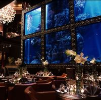 MEDUSA（メデューサ）恵比寿 RESTAURANT ＆ BAR LOUNGEの二次会限定！特典