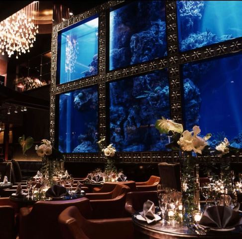 MEDUSA（メデューサ）恵比寿 RESTAURANT ＆ BAR LOUNGEの会場内イメージ10枚目
