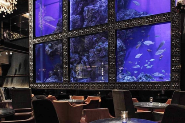 AQUA RESTAURANT ＆ BAR LUXIS（ラグシス）の会場内イメージ3枚目