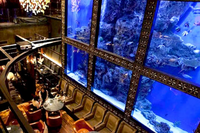 AQUA RESTAURANT & BAR LUXIS(ラグシス)の料金プランメイン画像