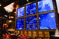 AQUA RESTAURANT ＆ BAR LUXIS（ラグシス）の施設・サービスのメイン画像