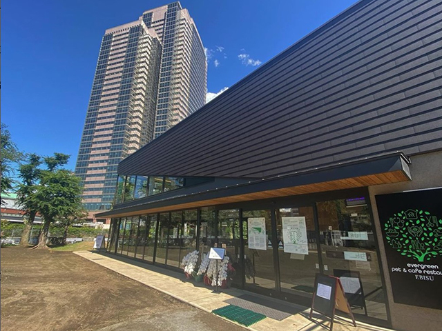evergreen cafe restaurant EBISUの料理・施設等のイメージ画像10