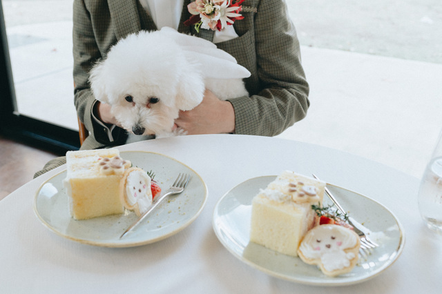 evergreen cafe restaurant EBISUの会場内イメージ5枚目