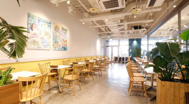 Salon de BIOGANCE cafe YOKOHAMA みなとみらい店の会場内イメージ1枚目