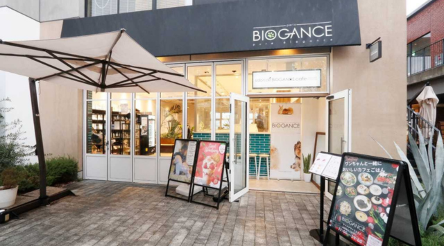 Salon de BIOGANCE cafe YOKOHAMA みなとみらい店の会場メイン画像
