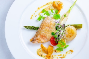 La Casa Blanca（ラ カーサブランカ）の会場の特徴