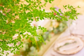 La Casa Blanca（ラ カーサブランカ）のレストラン結婚式