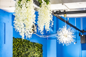 BLUE GARDEN～ブルーガーデン～京都の当店の魅力