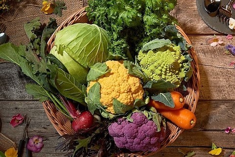 Italian & Wine CREDO ～クレイド～の料理・施設等のイメージ画像10