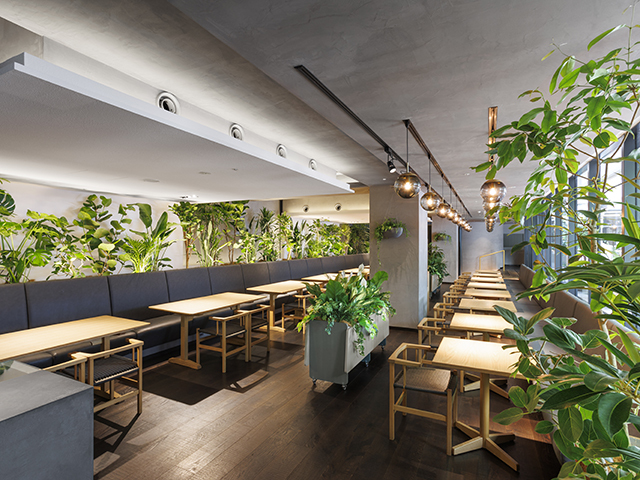 Hyssop ～ヒソップ～ @GOOD NATURE HOTELの会場内イメージ6枚目