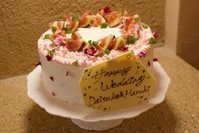 MELLOWの料金プランメイン画像
