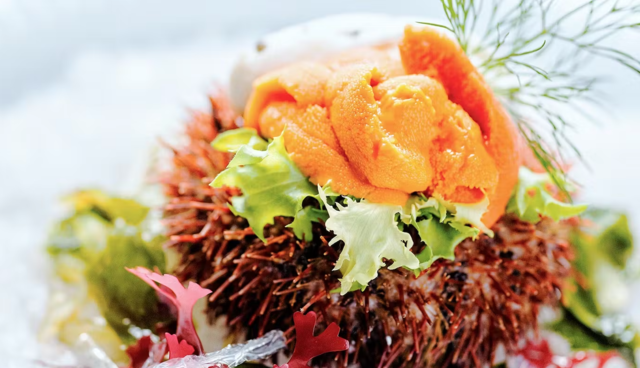 The SEA by ALLY’Sの料理・施設等のイメージ画像8