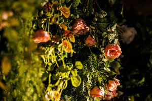 ELLE HALL Diningの魅力★レイアウト