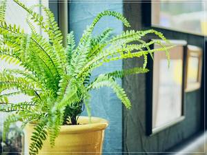 NICK STOCK～ニック ストック～名古屋駅前店の1.5次会持出0