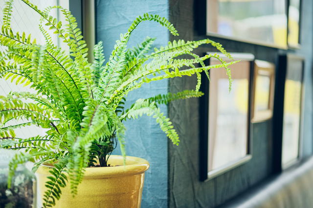 NICK STOCK～ニック ストック～名古屋駅前店の料理・施設等のイメージ画像7