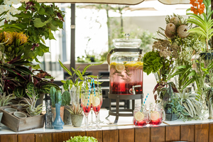 フォレスト キッチン ウィズ アウトドア リビング【FOREST KITCHEN with Outdoor Living】のお料理＆ドリンク