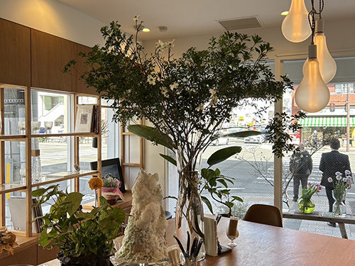 L’UTOPIEの6,600円プラン